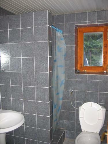 Apartamento Villa Kostic Kopaonik