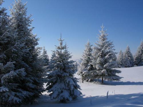 Apartamento Villa Kostic Kopaonik