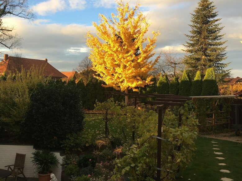 Apartamentos Ferienwohnung Dettum