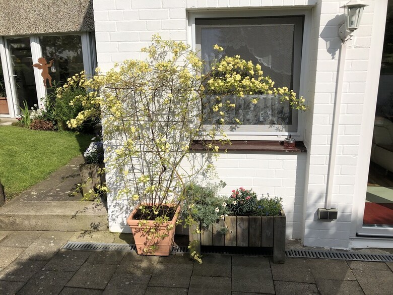 Apartamentos Ferienwohnung Dettum