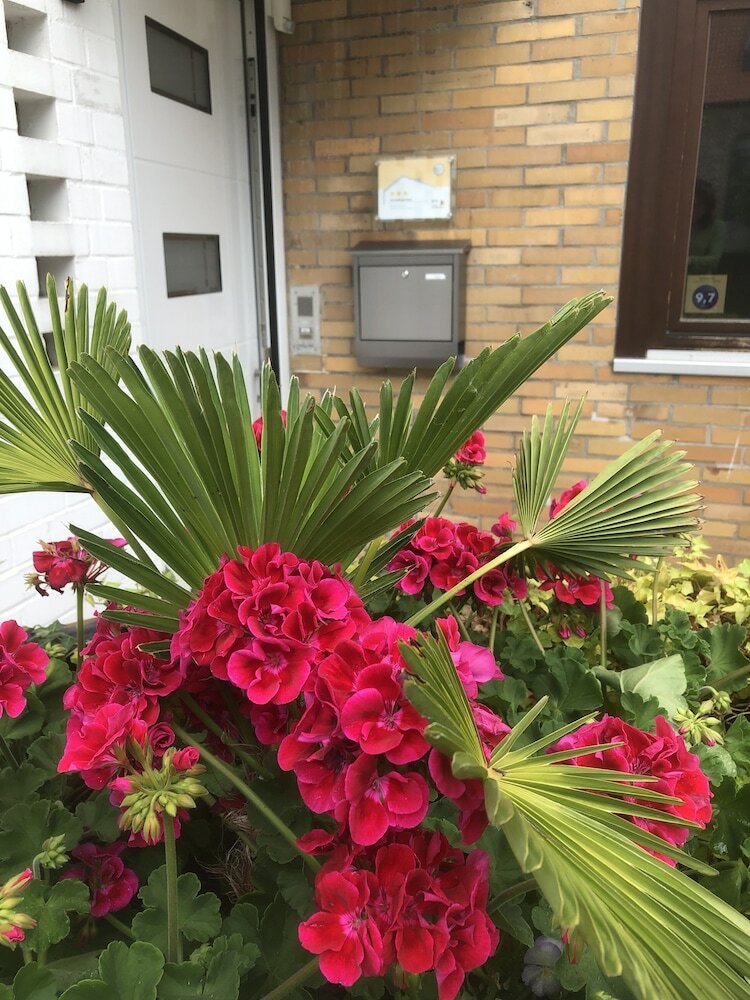 Apartamentos Ferienwohnung Dettum