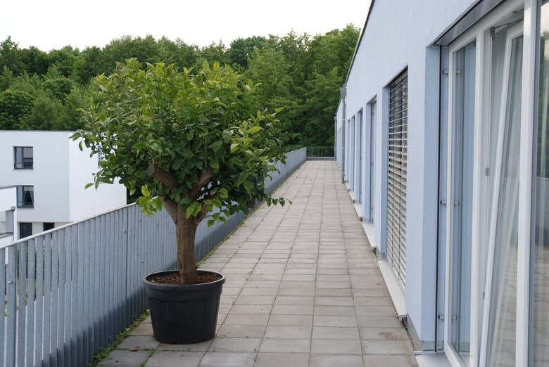 Zar Hotel Vitalis