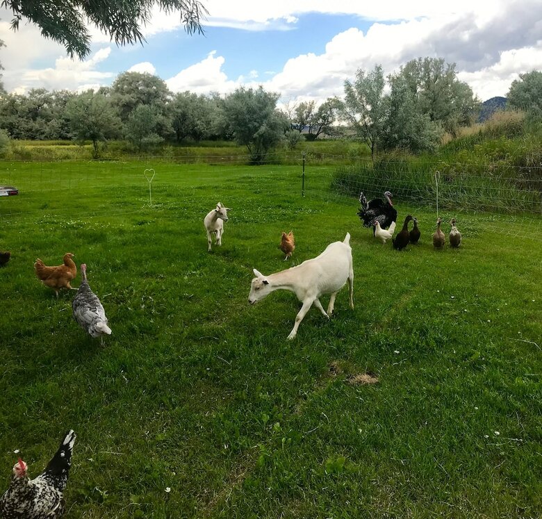 Posada Oddfellow Inn & Farm