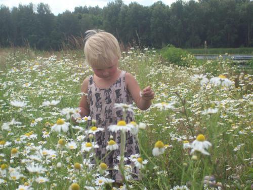 Campsite Makashevskie Dvoriki