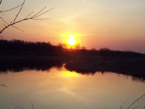 Campsite Makashevskie Dvoriki