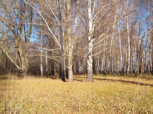 Campsite Makashevskie Dvoriki