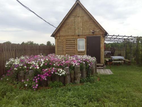 Campsite Makashevskie Dvoriki