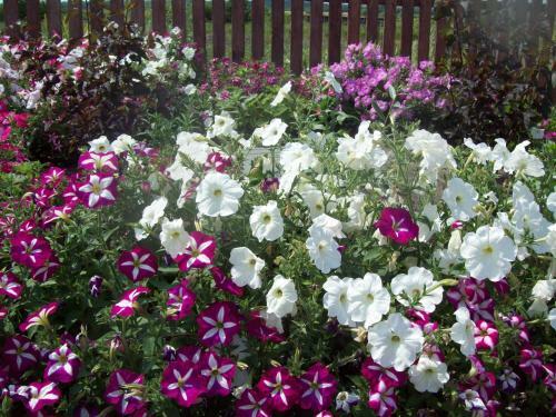 Campsite Makashevskie Dvoriki