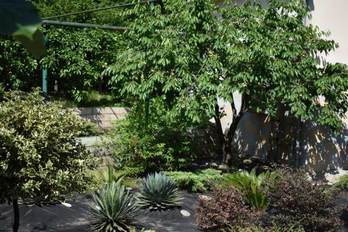 Hostal Guest House U Vadima