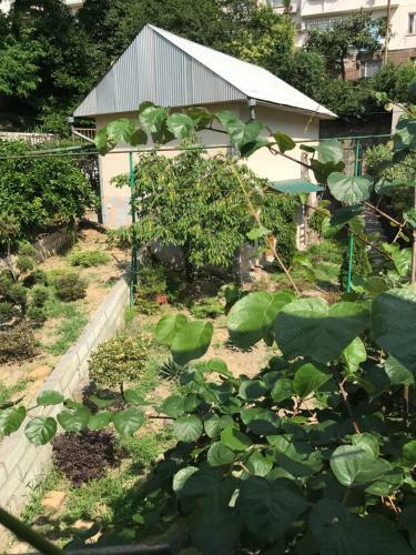 Hostal Guest House U Vadima