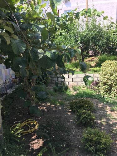 Hostal Guest House U Vadima