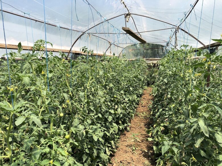 Hotel Chateau Fasel