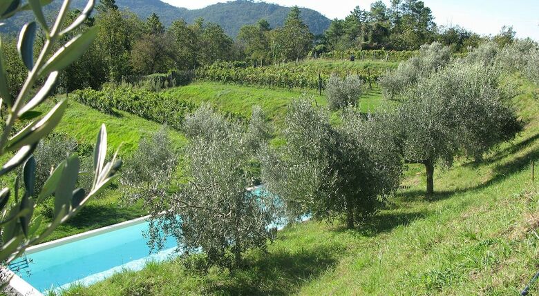 Agroturismo Sostio A Levante Guest House