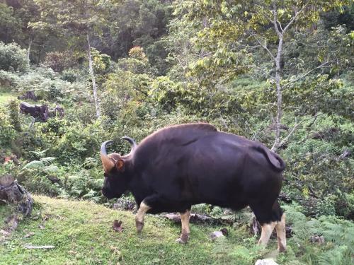Agroturismo Nature Castle