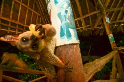 Albergue Stilts Backpackers