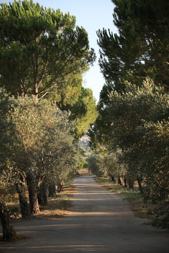 Posada The Ranch - Lodge & Equestrian Center