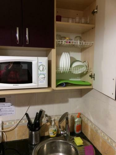 Apartment Pionerskaya 16