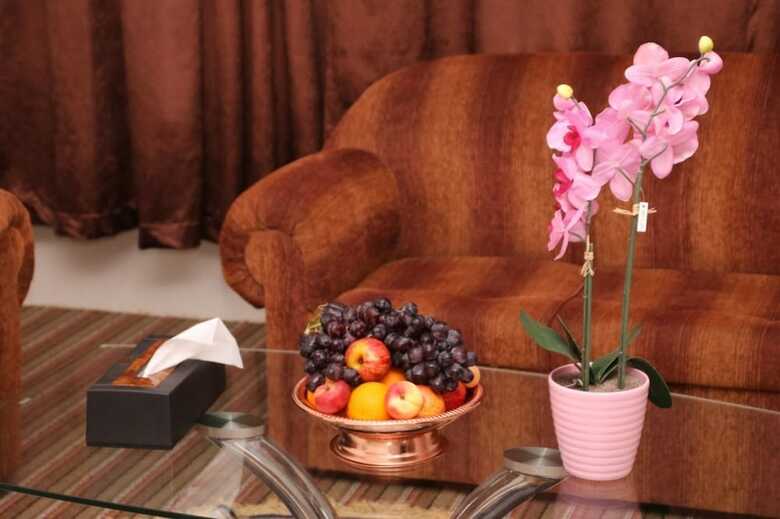 Al Shallalat International Hotel