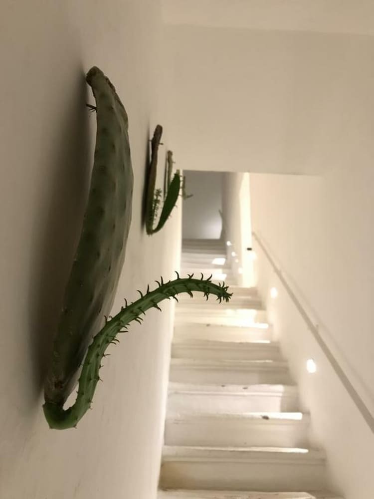 Chichouse Guesthouse