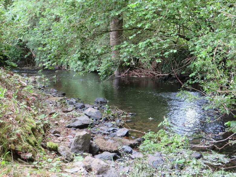 Bed & Breakfast Manoir de Questinguy