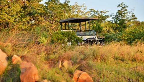 Lodge Qabe Private Safaris