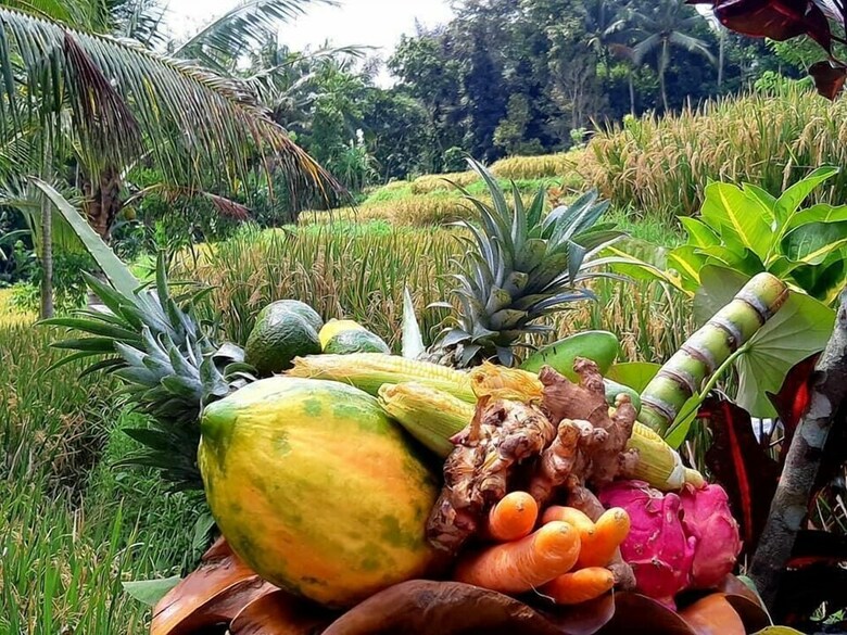 Bed & Breakfast Puri Raya Villa Ubud