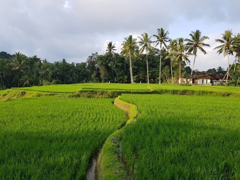 Bed & Breakfast Puri Raya Villa Ubud