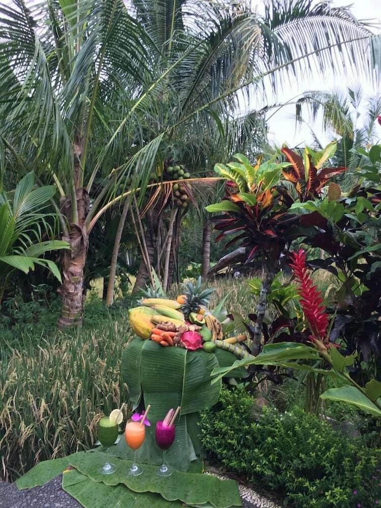 Bed & Breakfast Puri Raya Villa Ubud