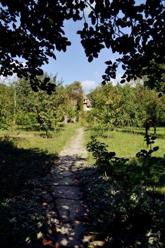 Hostal Villa Castelul Maria
