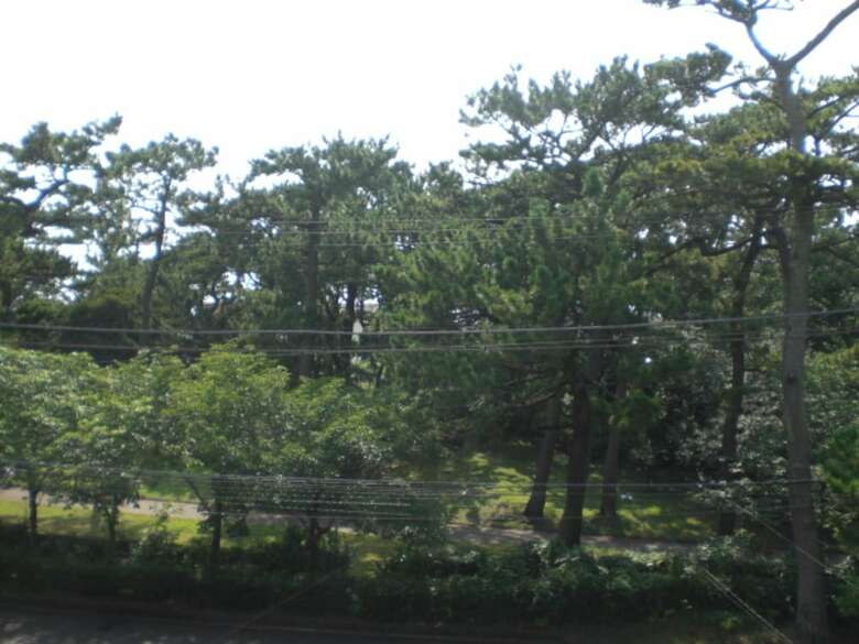 Hotel Minato Oasis Numazu