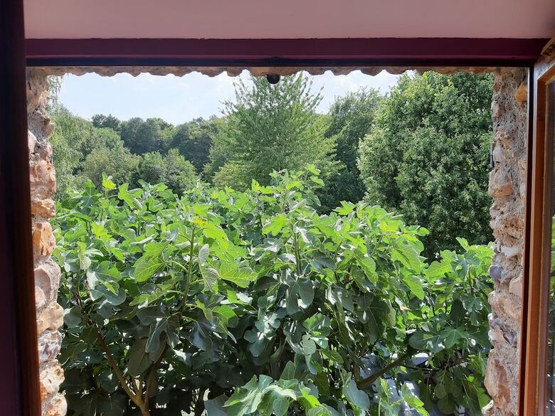 Bed & Breakfast La Grange Des Lisi�res