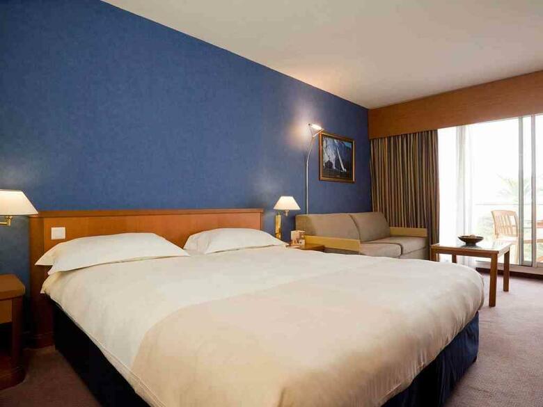 Hotel Novotel Cannes Montfleury