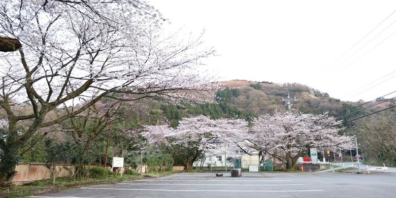 Yamanaka Spa Hanatsubaki