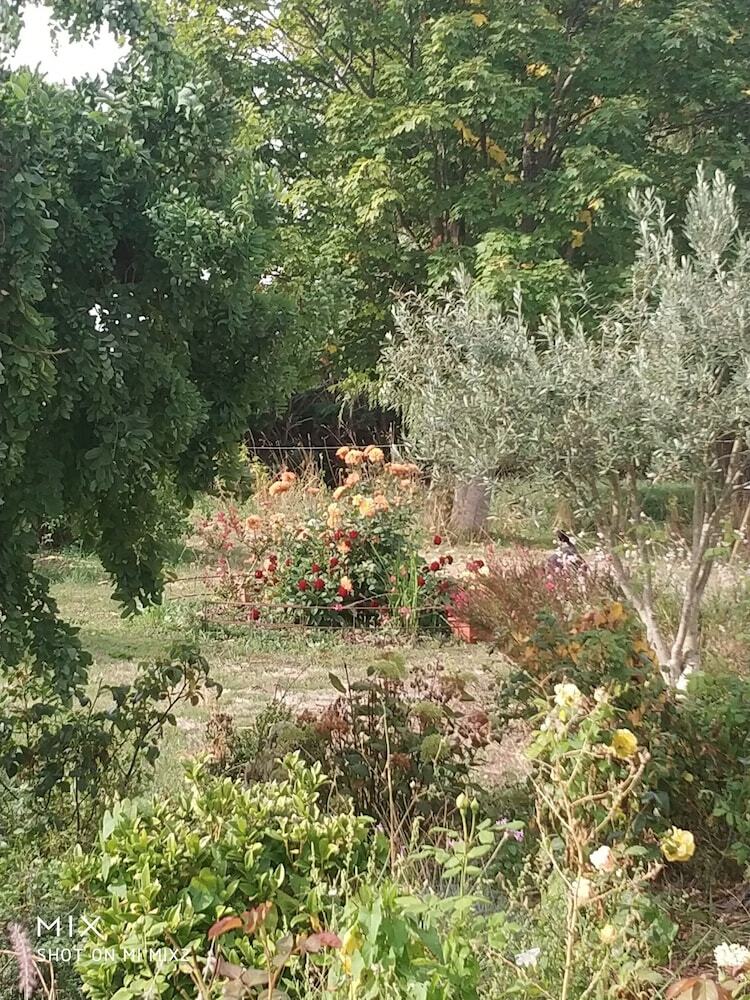 Bed & Breakfast Les Nuits Safran�es