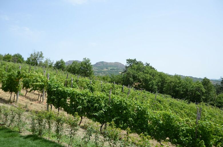 Agroturismo Agriturismo Ca' Del Sart�