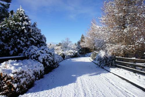 Holiday Chalet