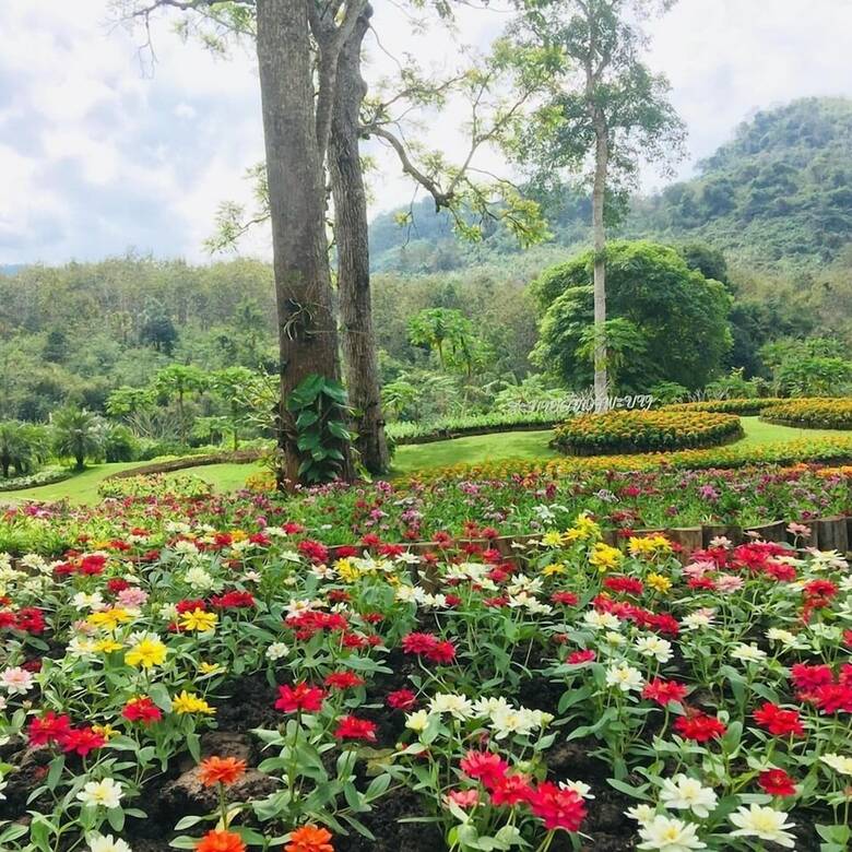 Hotel Luxury Camp@green Jungle Park