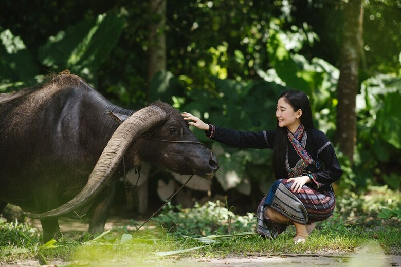 Hotel Luxury Camp@green Jungle Park