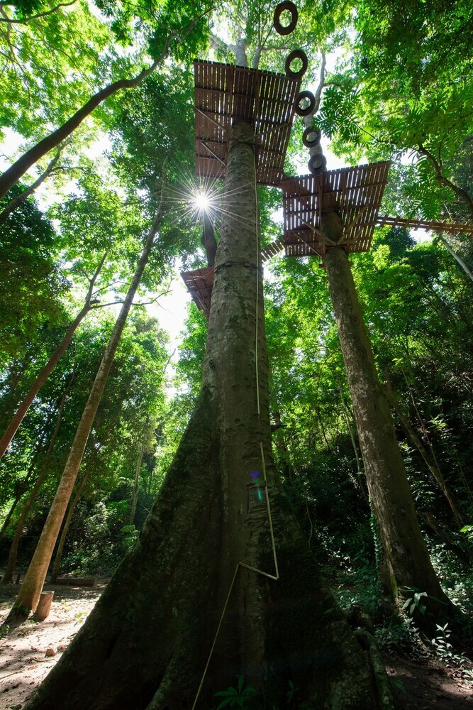 Hotel Luxury Camp@green Jungle Park