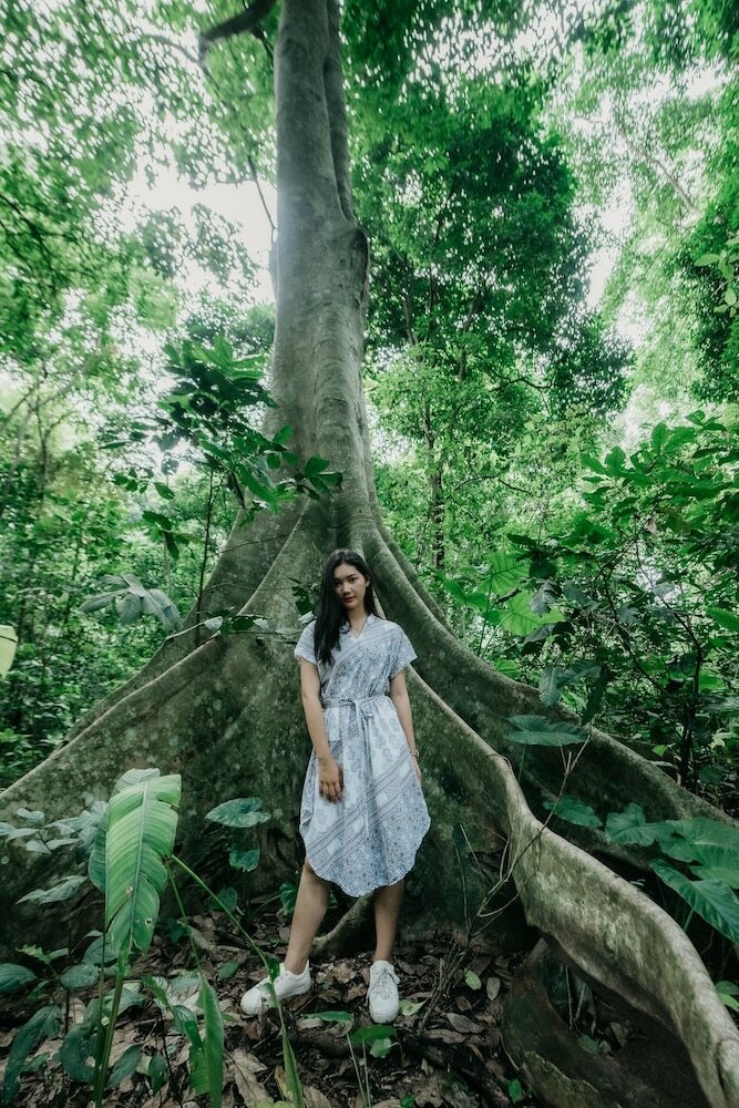 Hotel Luxury Camp@green Jungle Park
