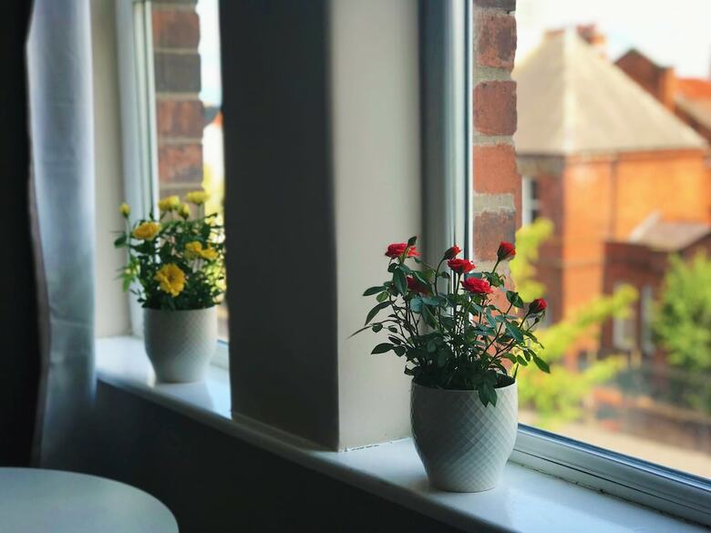 Bed & Breakfast Titanic Guest Boutique Accommodation