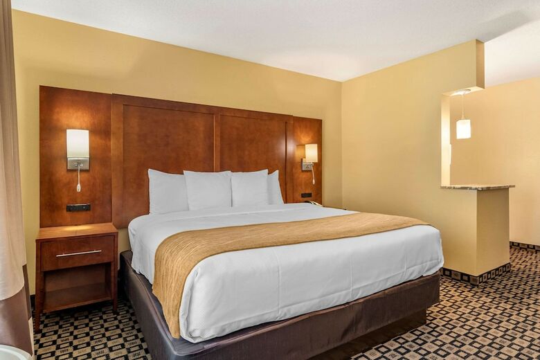 Hotel Comfort Inn And Suites Athens