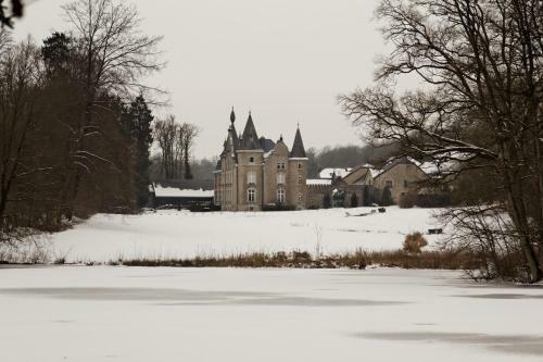 Hotel Chateau D'hassonville