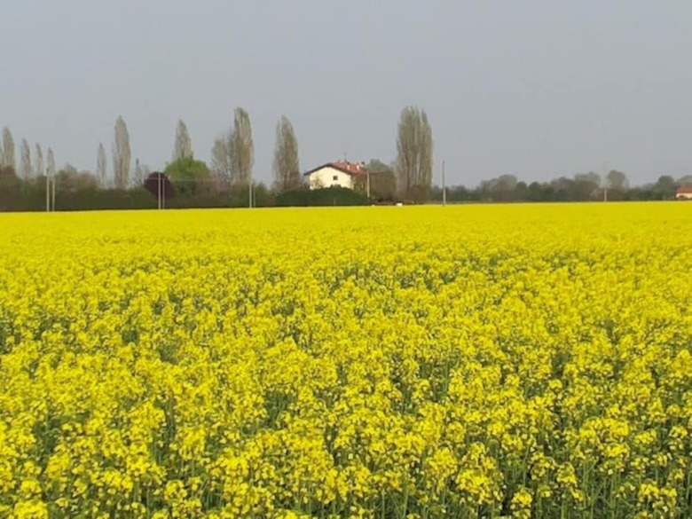 Bed & Breakfast I Pioppi Cipressini