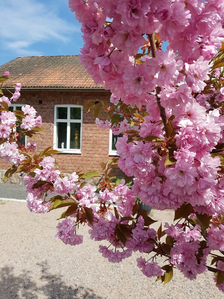 Hotel H�rlinge Guesthouse