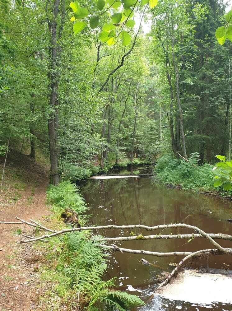 Hotel H�rlinge Guesthouse