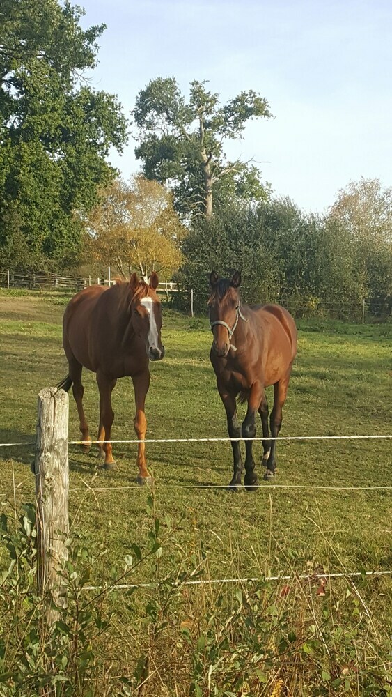 Hotel Chambre Priv�e A La Campagne