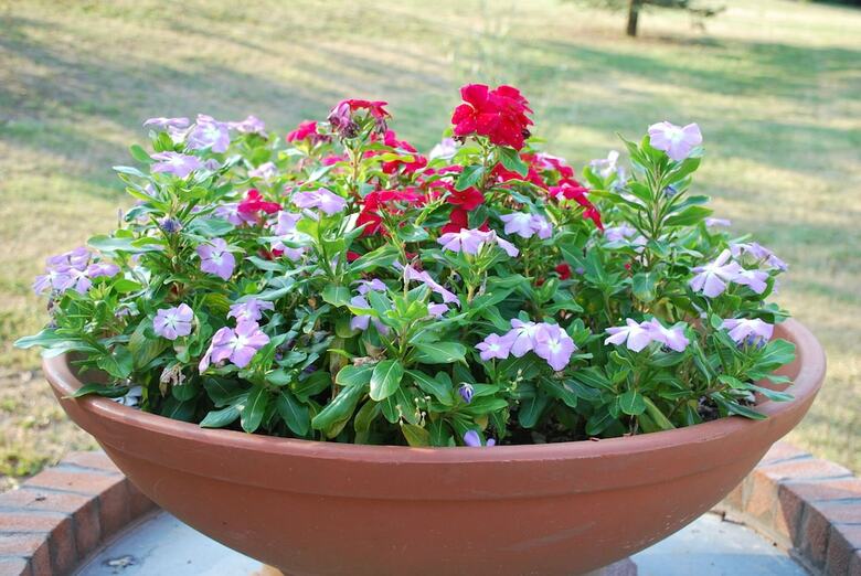 Bed & Breakfast La Casina Di Croxe