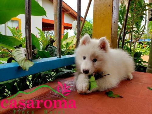 Casaroma Finca Hotel