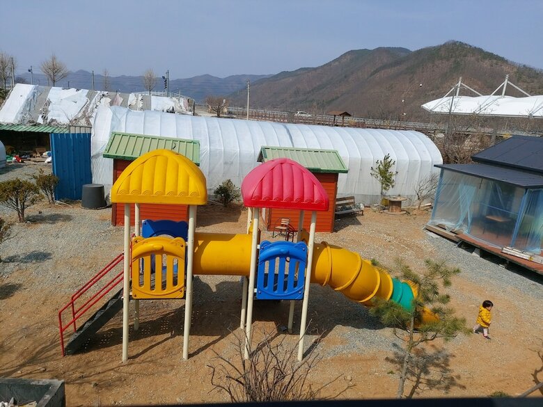 Andong Dasulki Camp